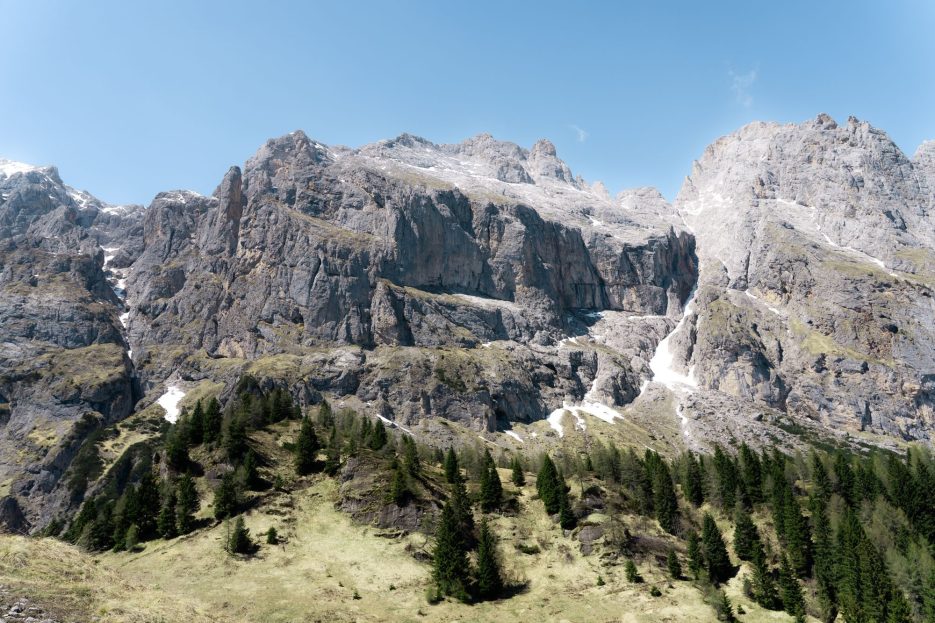 Warming mountain summits in Europe show complex vegetation shifts Warming mountain summits in Europe show complex vegetation shifts
